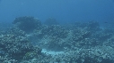 CORAIL