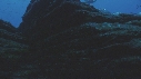 CARANGUES