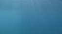 RAIE MANTA