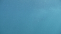 RAIE MANTA