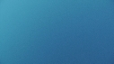 BONITES, REQUINS