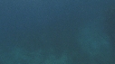 RAIE MANTA