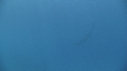 RAIE MANTA