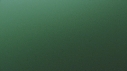 DAUPHINS COMMUNS
