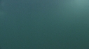 DAUPHINS COMMUNS