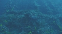 SERPENT, EPAVE