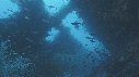 POISSONS, EPAVE