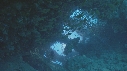 POISSONS, CORAIL, PLONGEUR