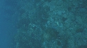 SERPENT, EPAVE