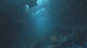 POISSONS, EPAVE