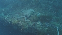 SERPENT, EPAVE