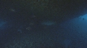 POISSONS, EPAVE
