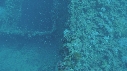 MURENE, EPAVE