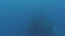 POISSONS, EPAVE