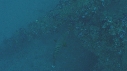 TORTUE, EPAVE