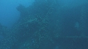 TORTUE, EPAVE