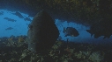 MEROU, EPAVE