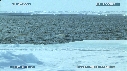 MORSE, BELUGA