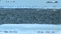 MORSE, BELUGA