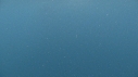 REQUIN PELERIN
