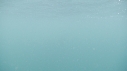 MEDUSE