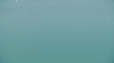 REQUIN PELERIN