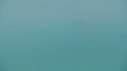 REQUIN PELERIN