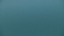 REQUIN PELERIN