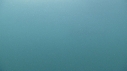 REQUIN PELERIN
