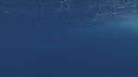 EAU BLEUE