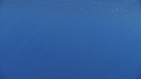 DAUPHINS COMMUNS, PUFFINS