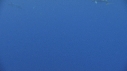 DAUPHINS COMMUNS
