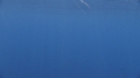 DAUPHINS COMMUNS