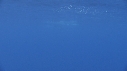 DAUPHINS COMMUNS