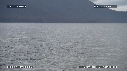 BALEINE A BOSSE