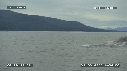 BALEINE A BOSSE