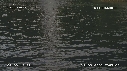 CASCADE