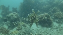 SEICHE