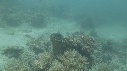 SEICHE