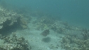 SEICHE