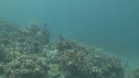 SEICHE