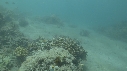SEICHE, CRABE