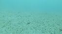 SEICHE