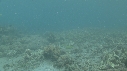 SEICHE