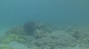 SEICHE