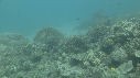 SEICHE