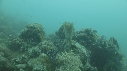 SEICHE