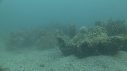 SEICHE, CRABE