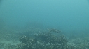 SEICHE