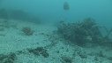 SEICHE, CRABE